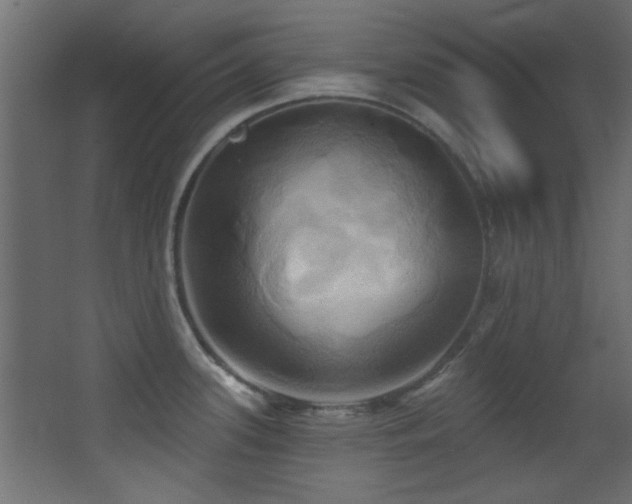 X0000068321339200604211155
