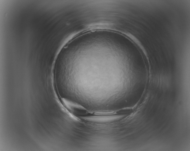 X0000068321341200604211155