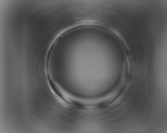 X0000068321342200604211155