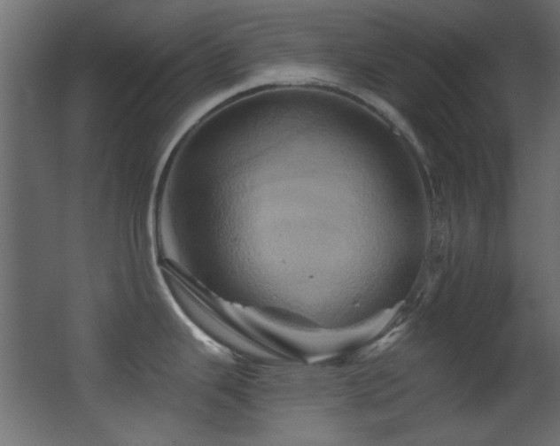 X0000068321343200604211155