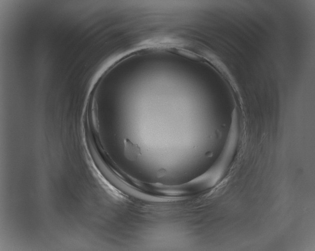 X0000068321344200604211155