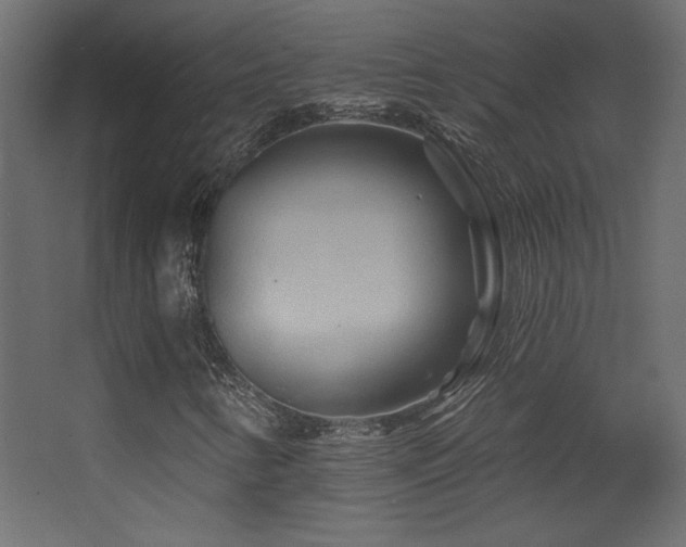X0000068321346200604211154