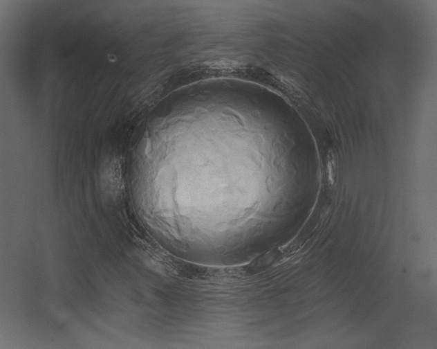 X0000068321347200604211154