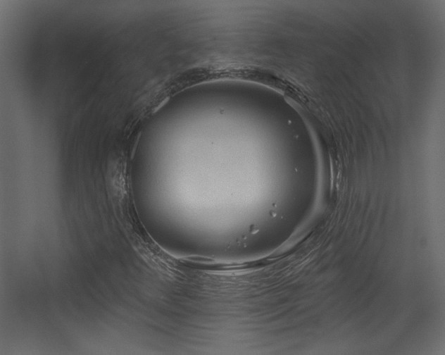 X0000068321348200604211154