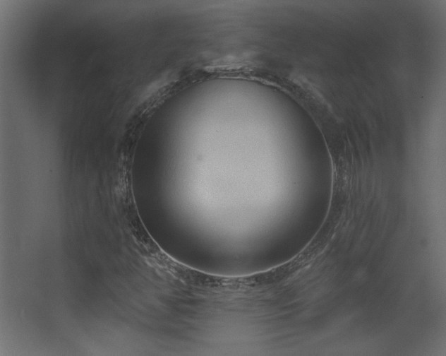 X0000068321350200604211154