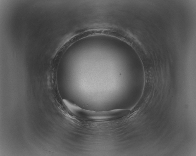 X0000068321352200604211154