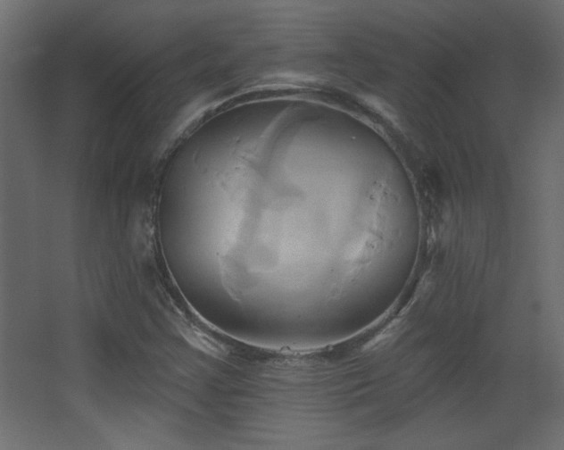X0000068321355200604211154
