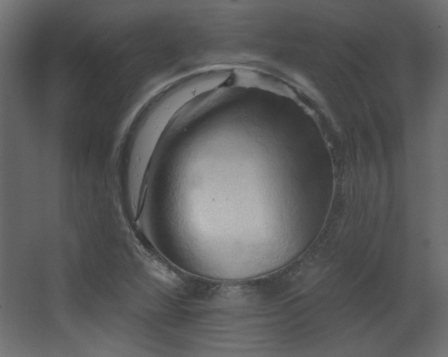 X0000068321360200604211154