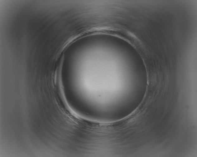 X0000068321361200604211154
