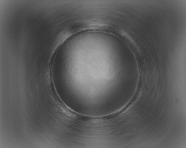 X0000068321362200604211154