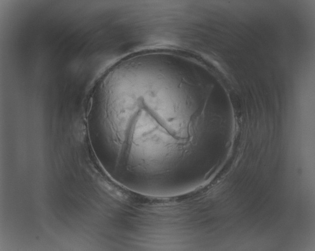 X0000068321363200604211154