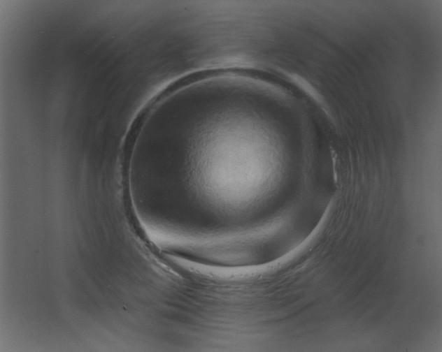 X0000068321364200604211154