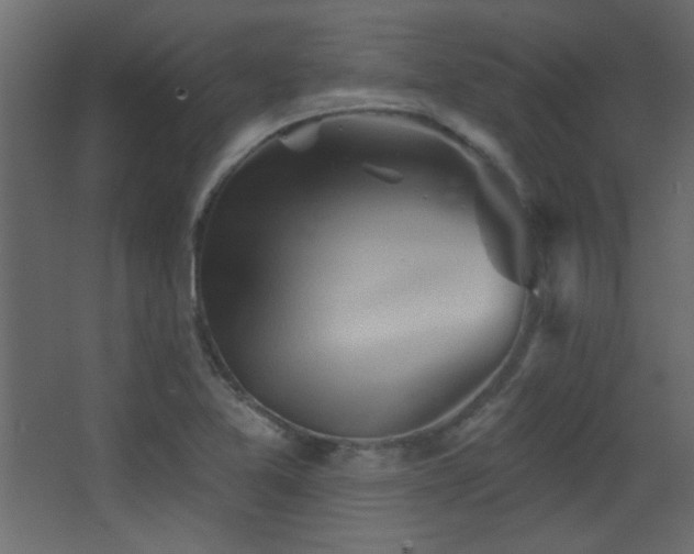 X0000068321365200604211154