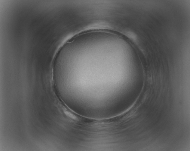 X0000068321366200604211154
