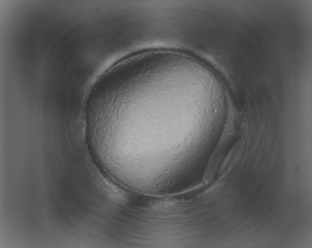 X0000068321367200604211154