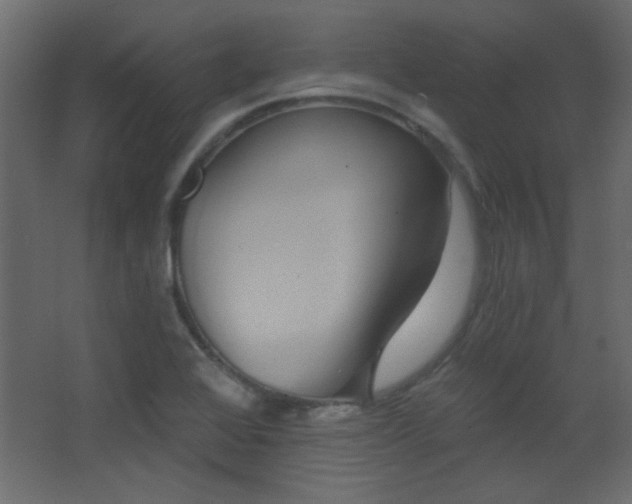 X0000068321368200604211154