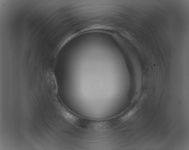 X0000068321369200604211154