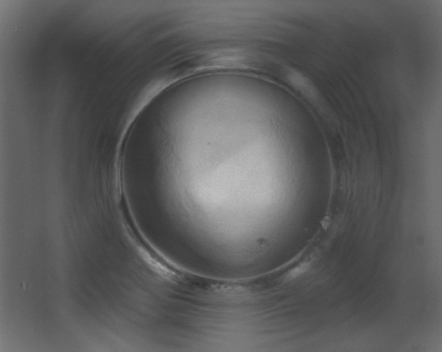 X0000068321370200604211154