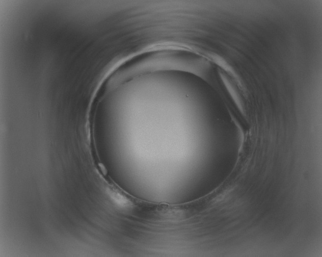 X0000068321372200604211154