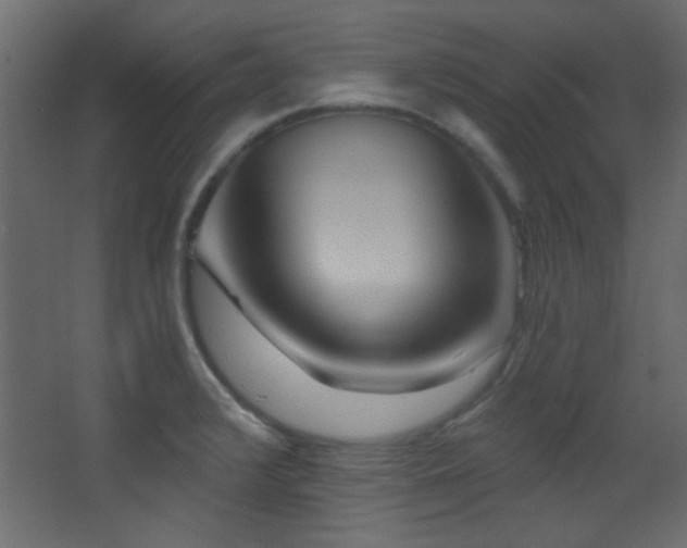 X0000068321376200604211154