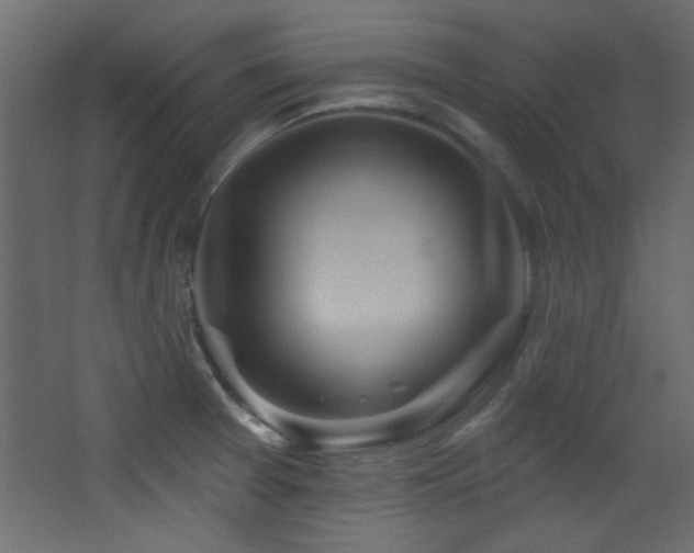 X0000068321377200604211154