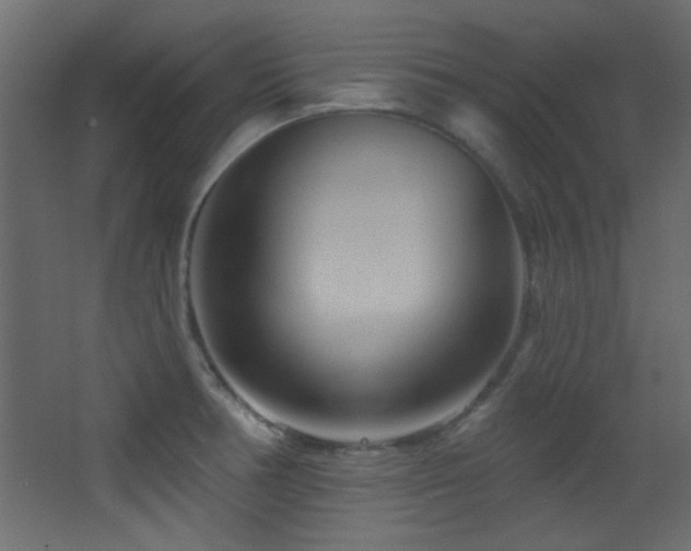 X0000068321378200604211154