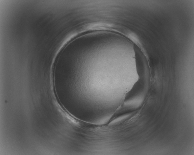 X0000068321384200604211154
