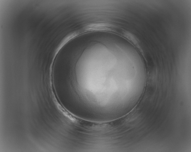 X0000068321386200604211154