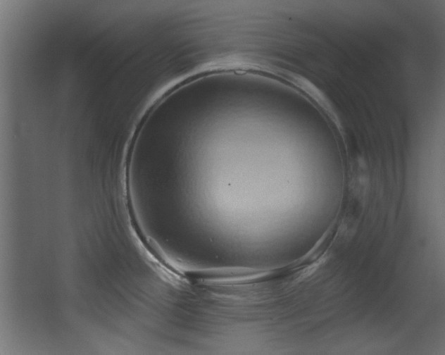 X0000068321388200604211154