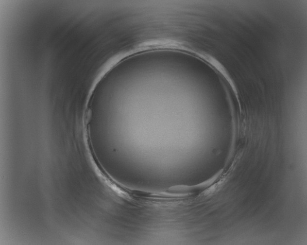 X0000068321389200604211154
