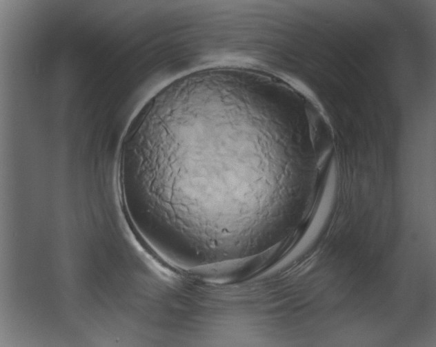 X0000068321391200604211154