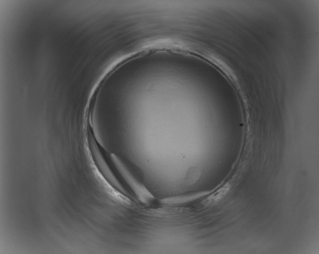 X0000068321392200604211154