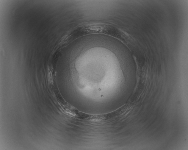 X0000068321394200604211153