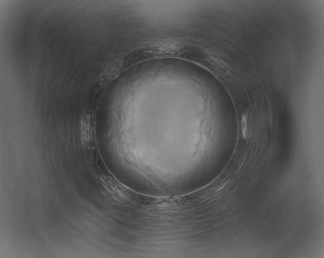 X0000068321395200604211153