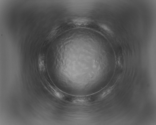 X0000068321396200604211153