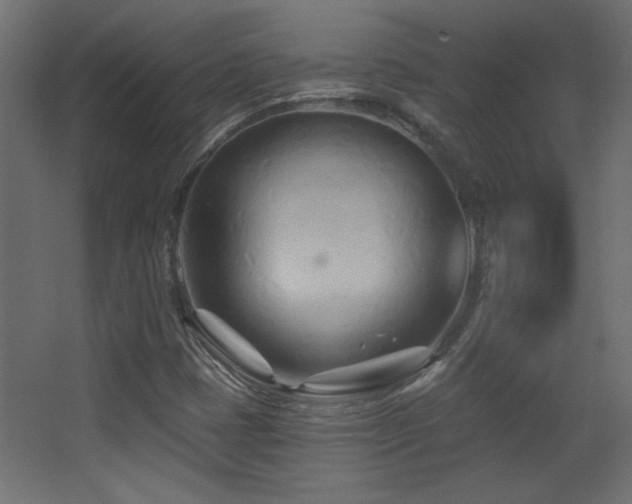 X0000068321401200604211153
