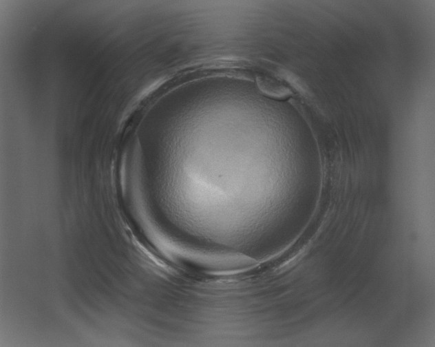 X0000068321402200604211153