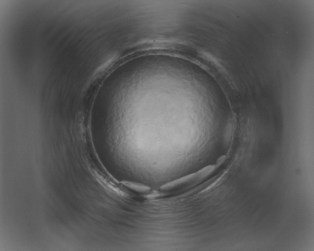 X0000068321403200604211153