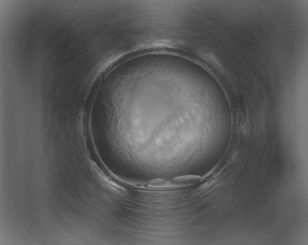 X0000068321404200604211153
