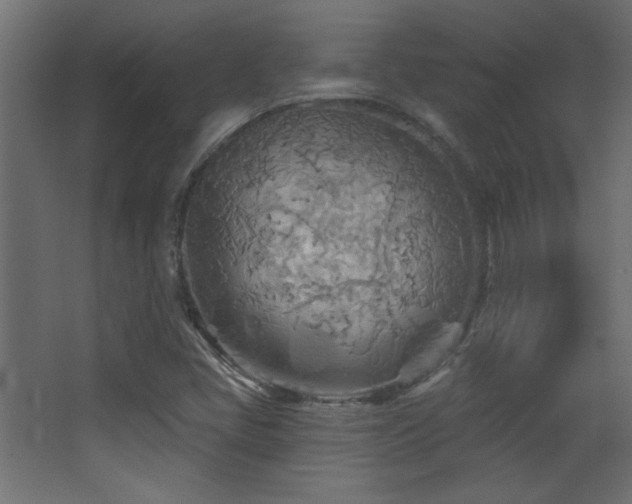 X0000068321405200604211153