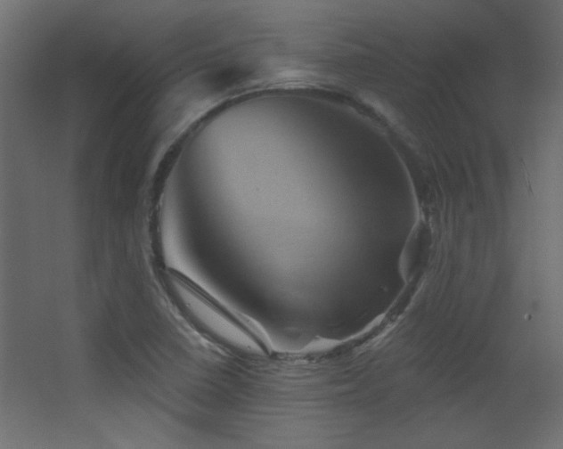 X0000068321410200604211153