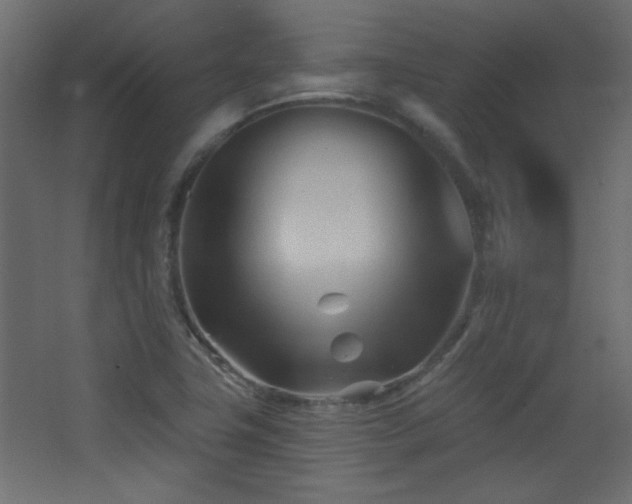 X0000068321411200604211153