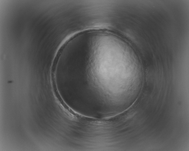X0000068321412200604211153