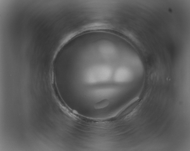 X0000068321413200604211153