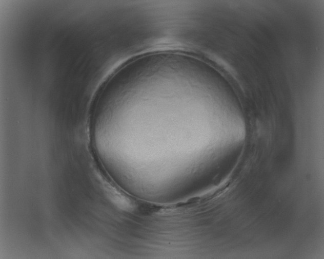X0000068321415200604211153