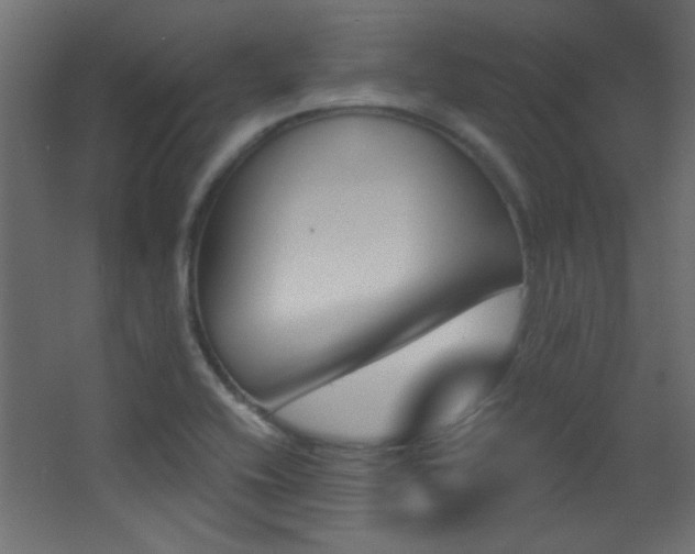 X0000068321416200604211153