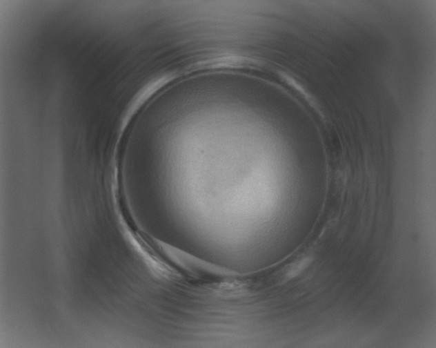 X0000068321418200604211153
