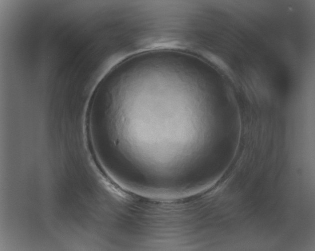 X0000068321423200604211153