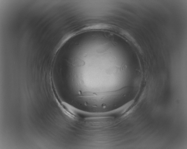 X0000068321425200604211153