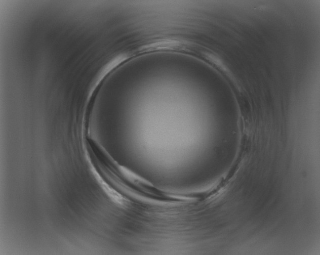 X0000068321426200604211153
